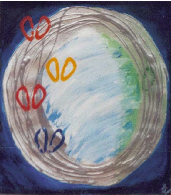 papierweltkreis.jpg  (51,5 Kb)